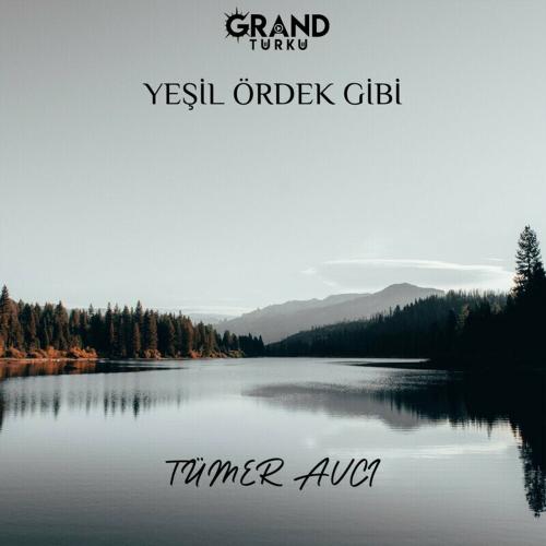 Yeşil Ördek Gibi - Tümer Avcı