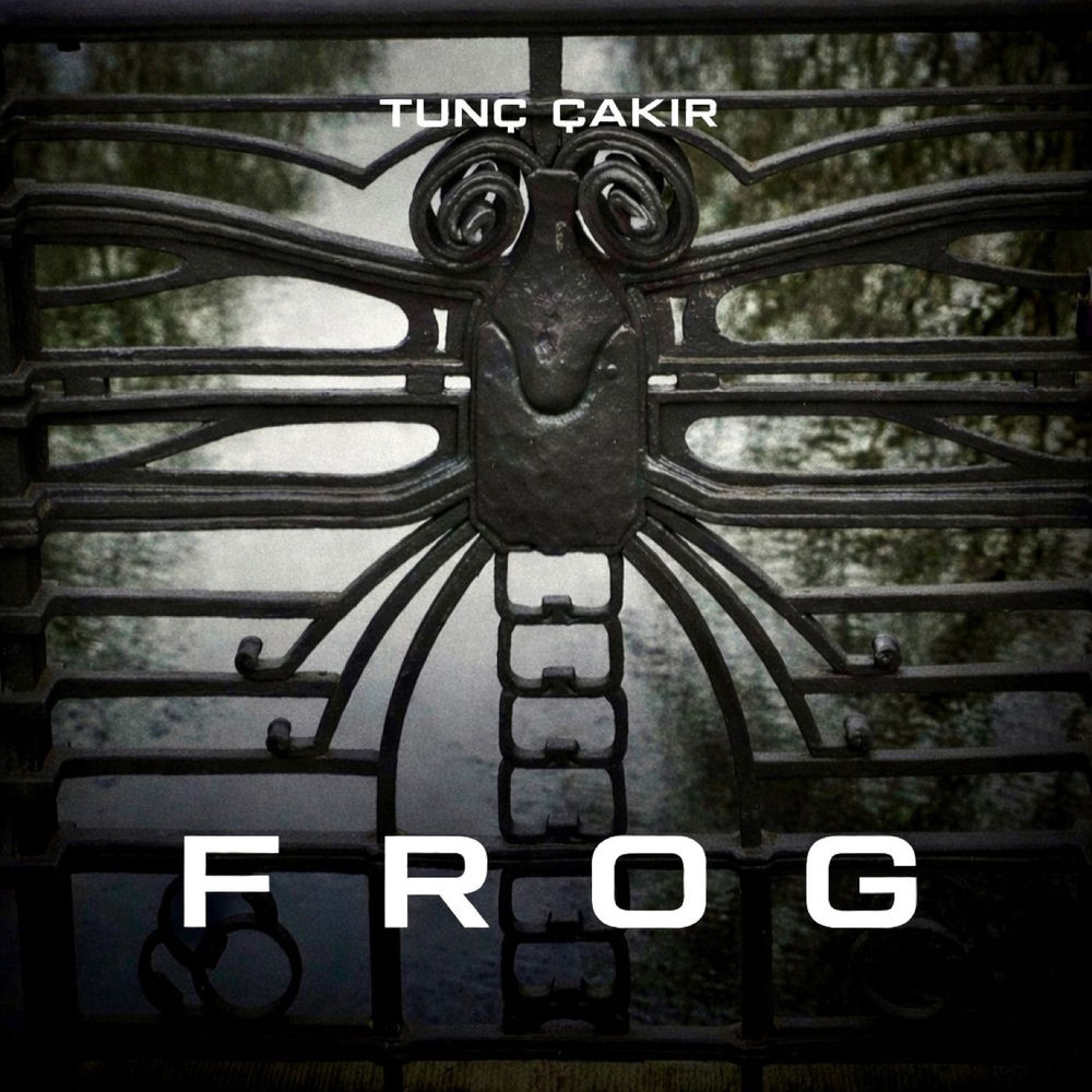 Frog - Tunç Çakır