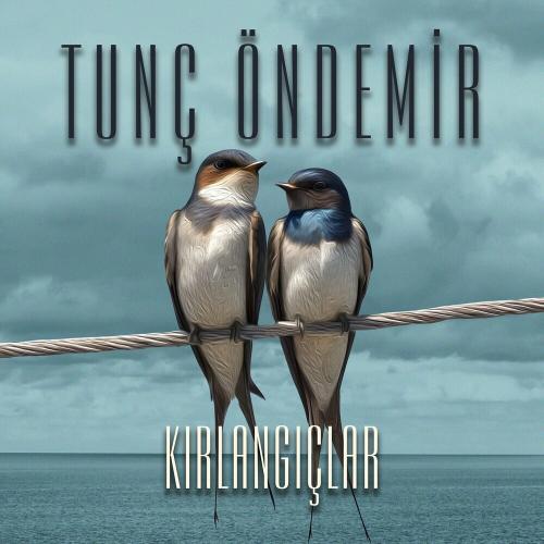 Tunç Öndemir - Kırlangıçlar