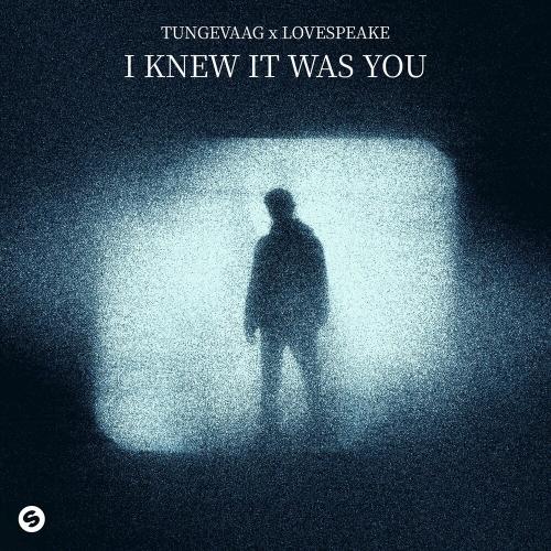 Tungevaag & Lovespeake - I Knew It Was You