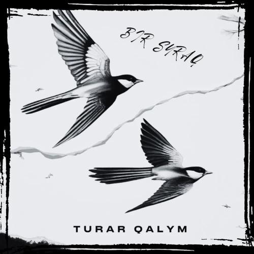 Turar Qalym - QASYMDA BOL