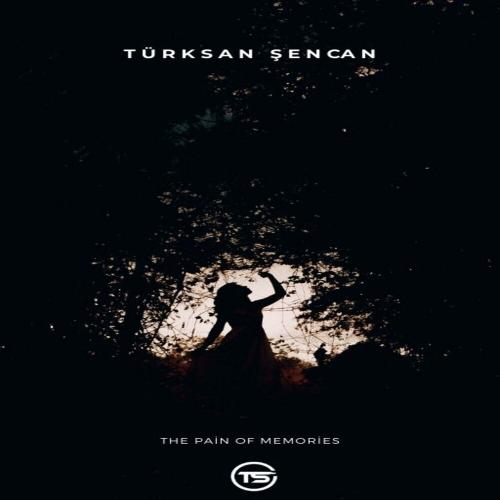 The Pain Of The Memories - Türksan Şencan