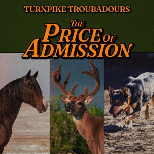 Turnpike Troubadours - Nothing You Can Do