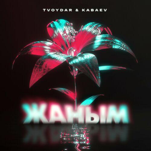 TVOYDAR & KABAEV - Жаным