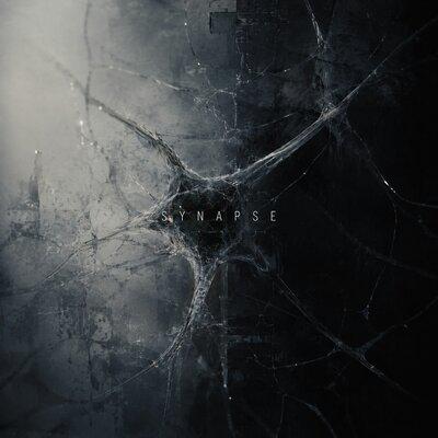 Synapse - Twi_Spk