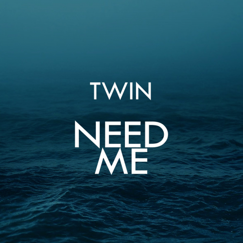 Need Me - Twin
