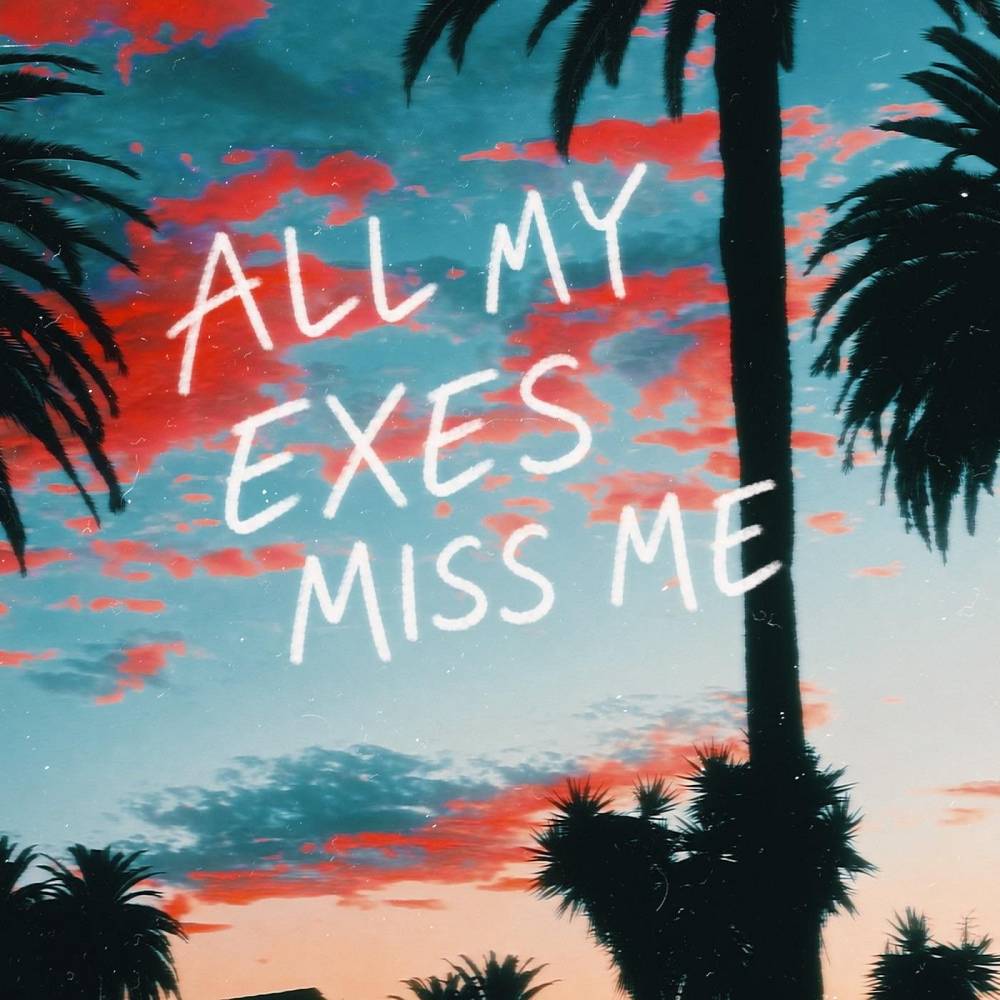 all my exes miss me - twoflow & Delaney Jane