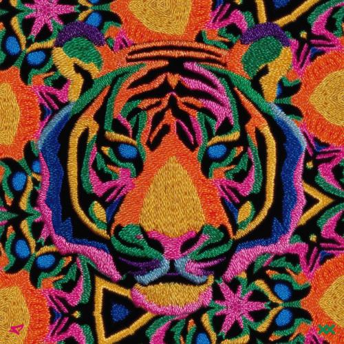 Twoxi & POLETAY - Tiger Boy