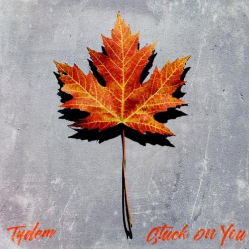 Stuck On You - Tydem