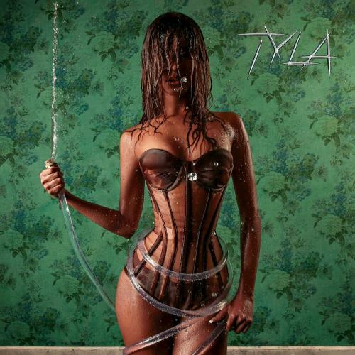 Tyla feat. Tony Duardo & Optimist Music Za & Ez Maestro - Shake Ah