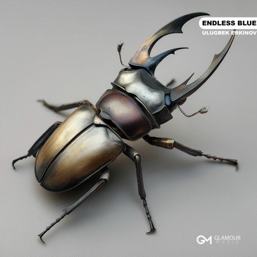 Ulugbek Erkinov - Endless Blue