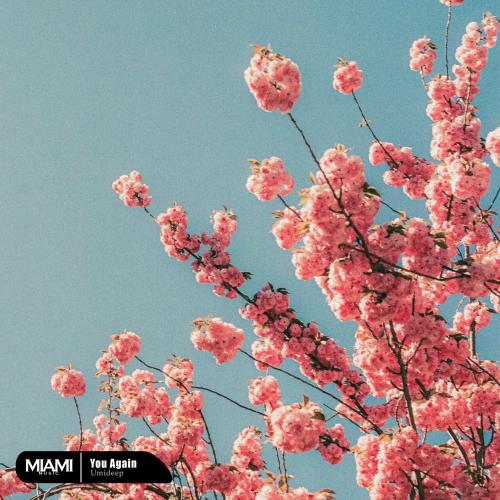 Umideep - You Again