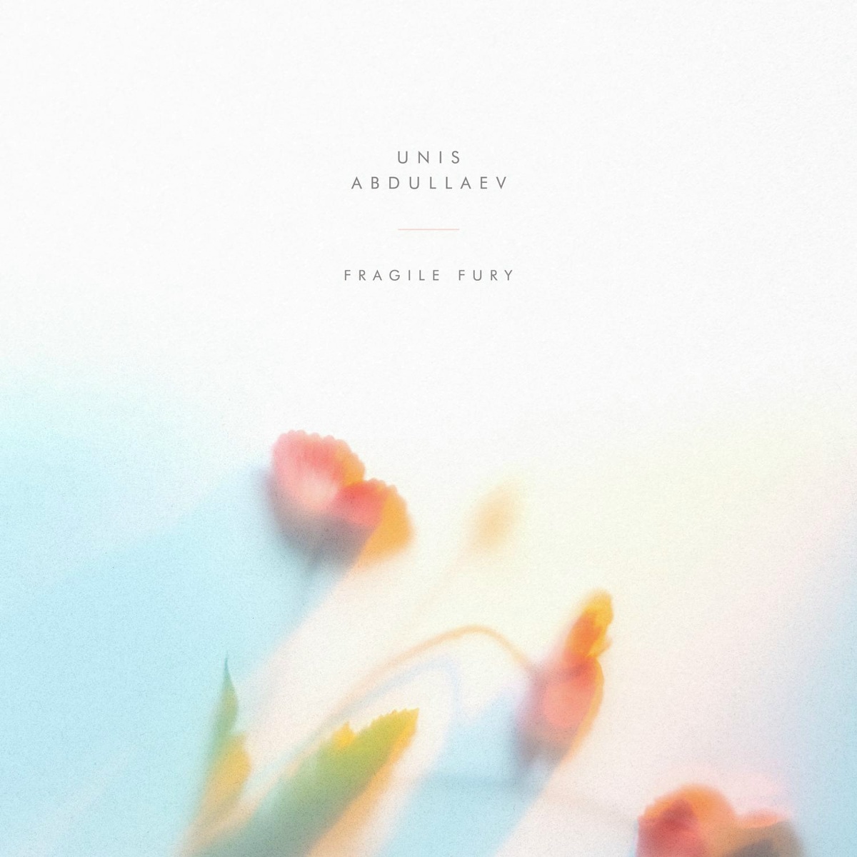 Fragile Fury - Unis Abdullaev