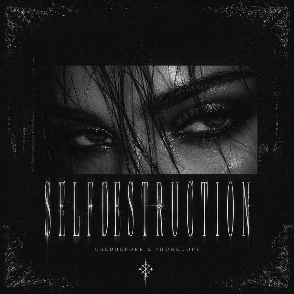 selfdestruction - usedbefore, Phonkdope