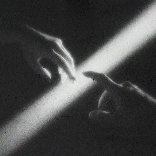 V.I.P.N - DESTINED