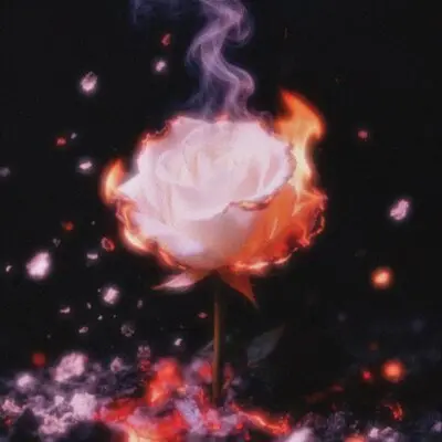 FLOWERS - V.I.P.N