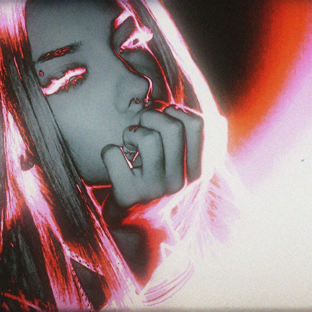 the night - V.I.P.N