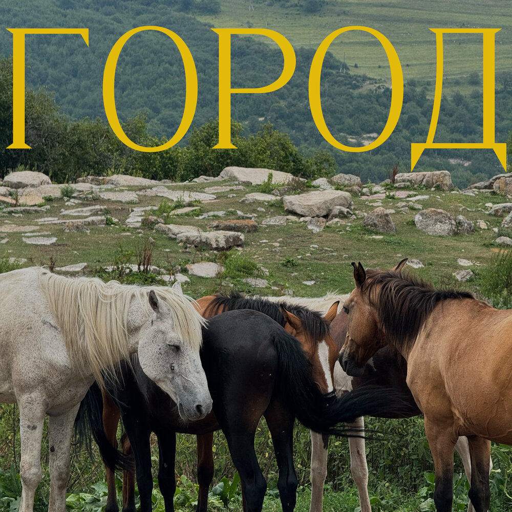Город - Vache