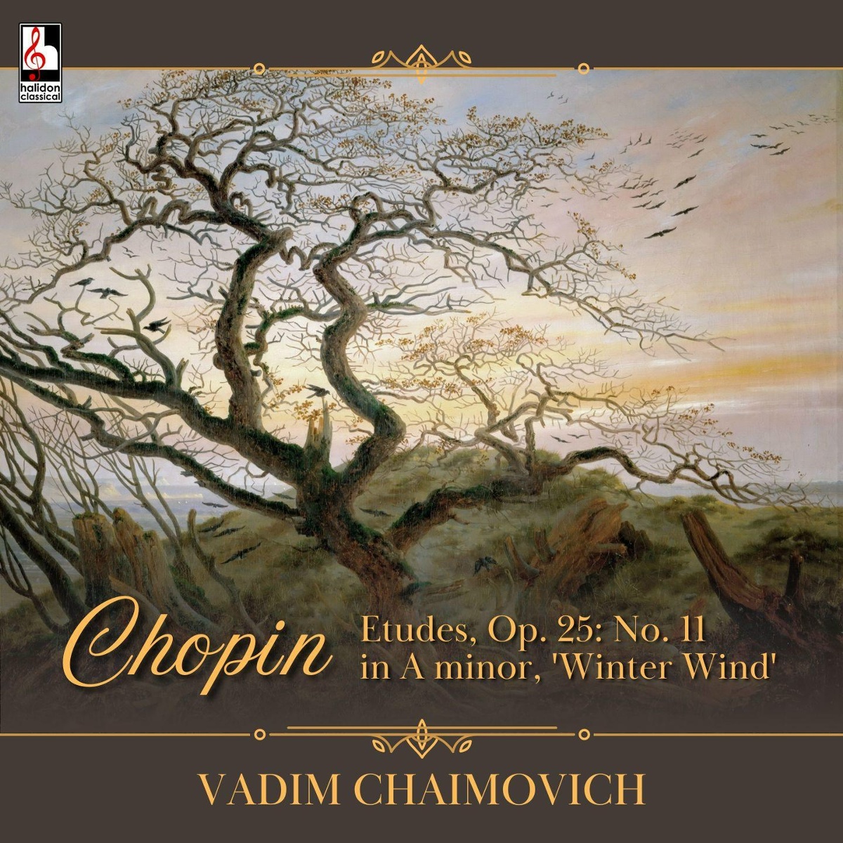 Etudes, Op. 25_ No. 11 in A Minor, 'Winter Wind' - Vadim Chaimovich