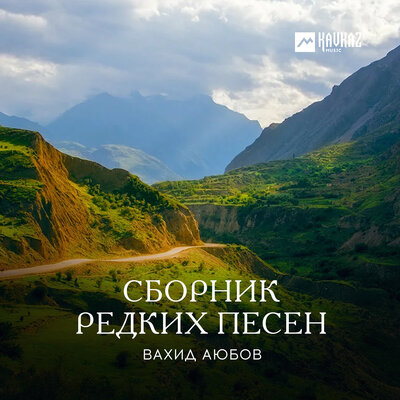Таксист чеченец - Вахид Аюбов