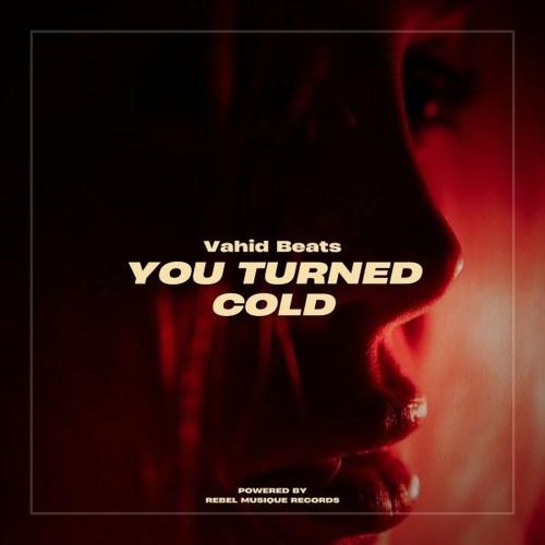 Vahid Beats - You Turned Cold