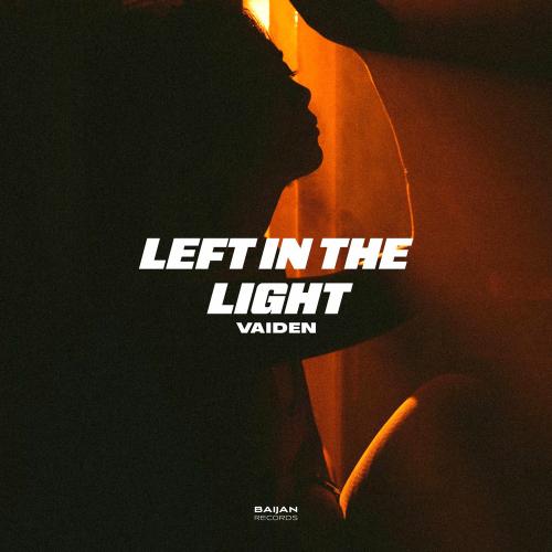 VAIDEN - Left In The Light