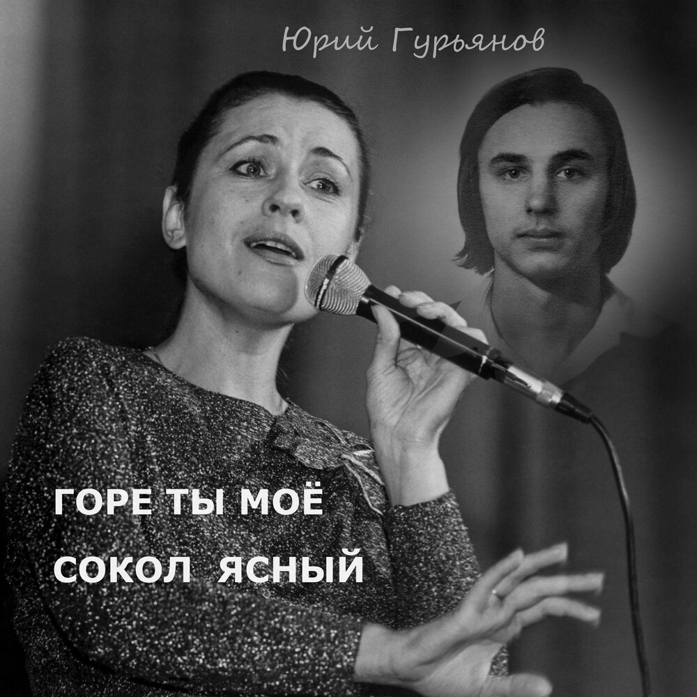 Сокол Ясный - Валентина Толкунова
