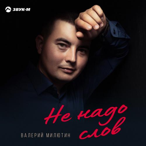Валерий Милютин - Не Надо Слов