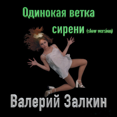 Одинокая ветка сирени Slow Version - Валерий Залкин