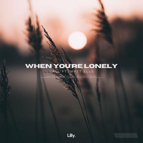 Vall feat. Matt Elle - When You're Lonely