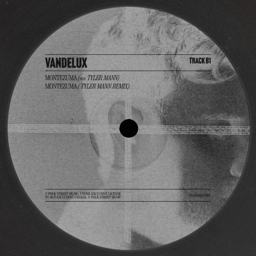 Vandelux feat. Tyler Mann - Montezuma