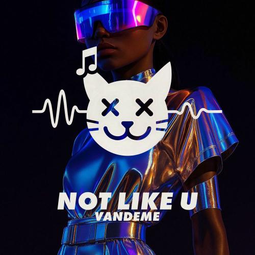 Vandeme - Not Like U (Extended Mix)