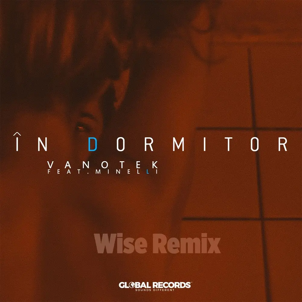 In Dormitor (Wise Remix) - Vanotek, Minelli