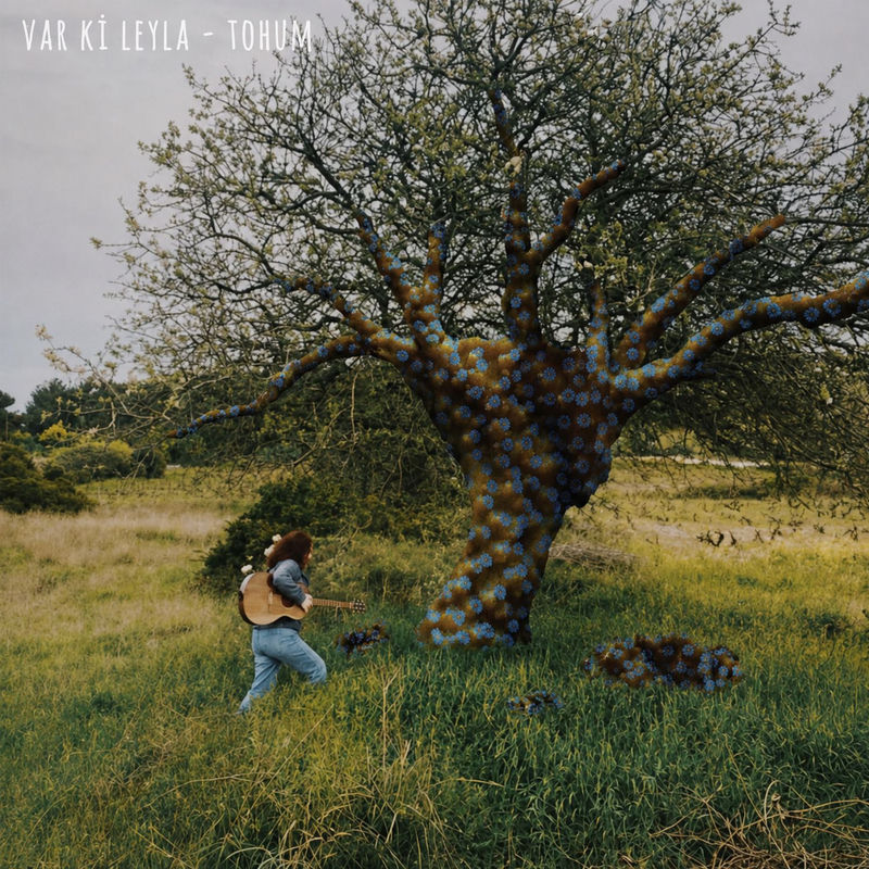Tohum - Var ki Leyla