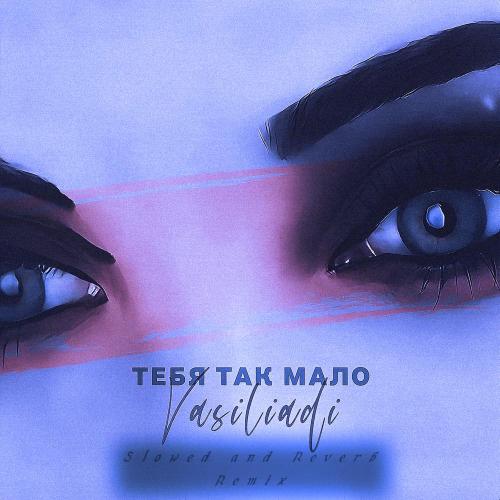 Vasiliadi - Тебя так мало (Slowed and Reverb Remix)