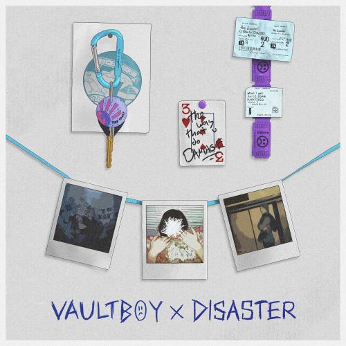 Disaster - Vaultboy