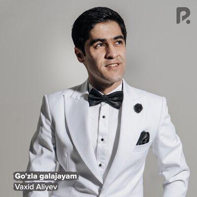 Vaxid Aliyev - Go'zla galajayam