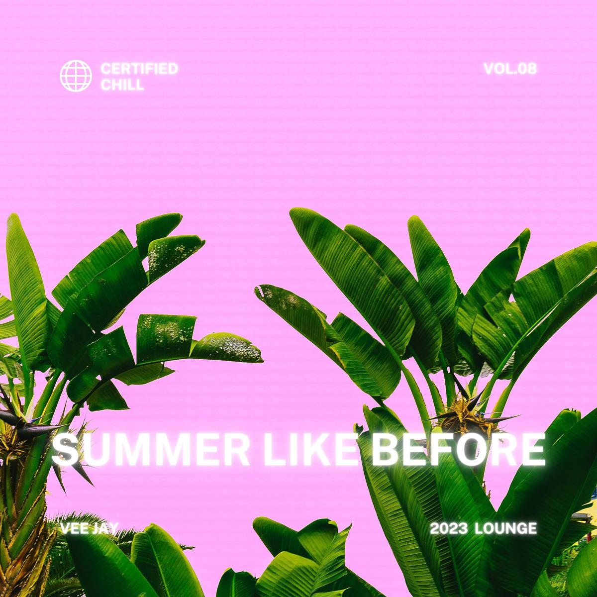 Summer Like Before - Vee Jay