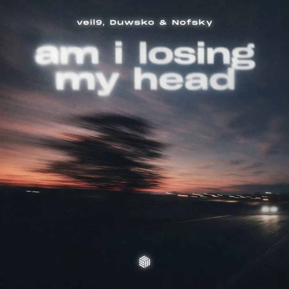 am i losing my head (Extended Mix) - veil9, Duwsko, Nofsky