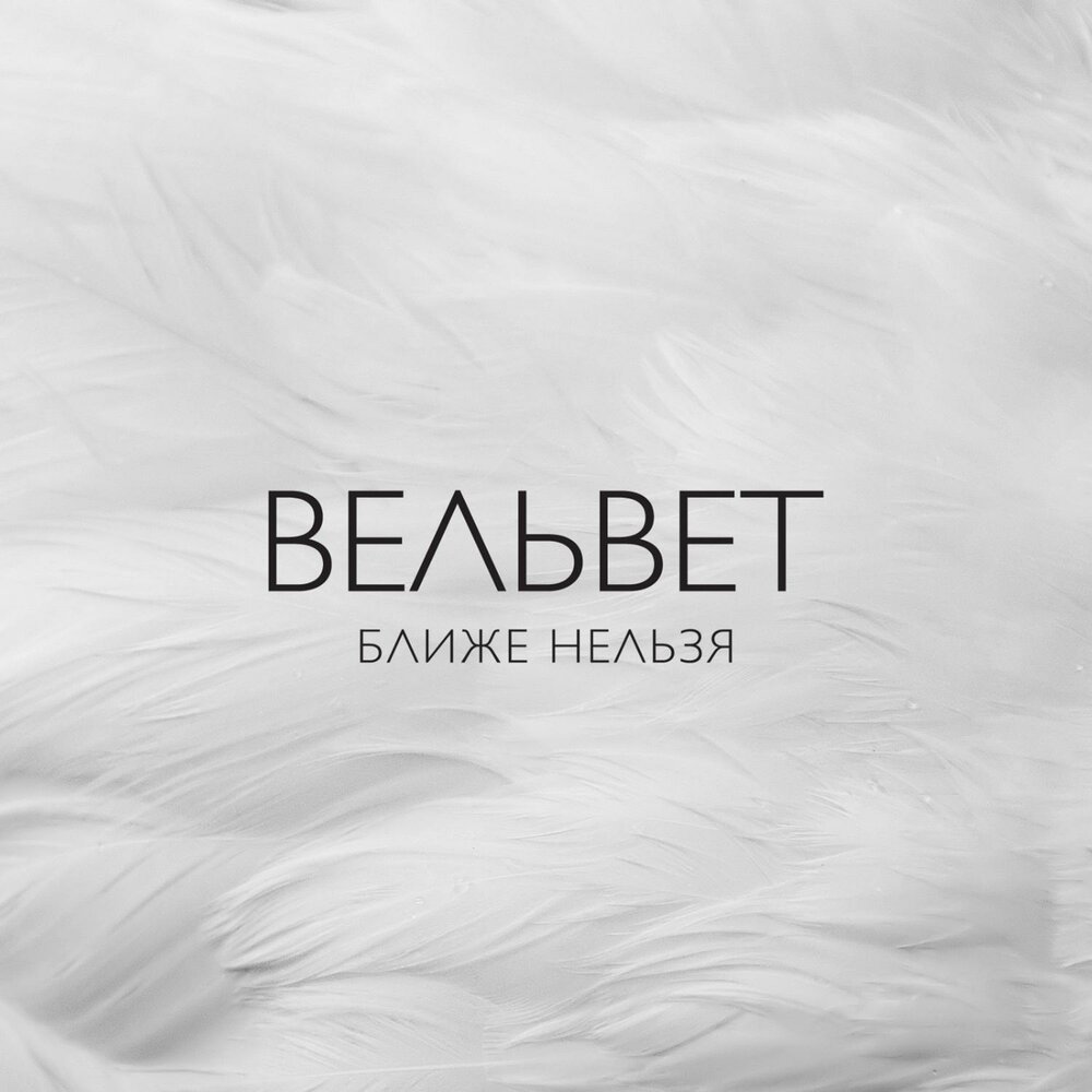 Капитан арктика - Вельвет