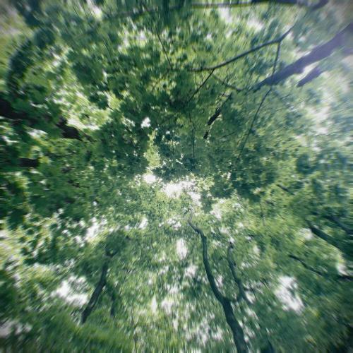 Veranze - Встретимся снова