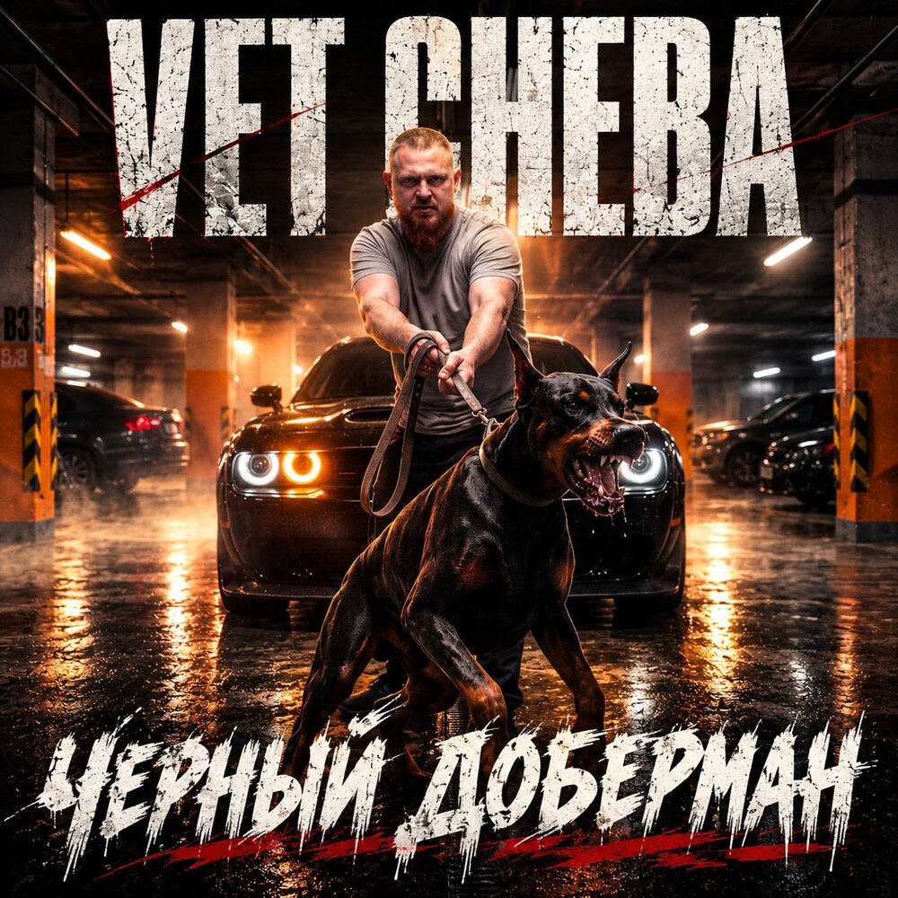 Чёрный доберман - VET Cheba
