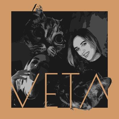 VETA - Провода