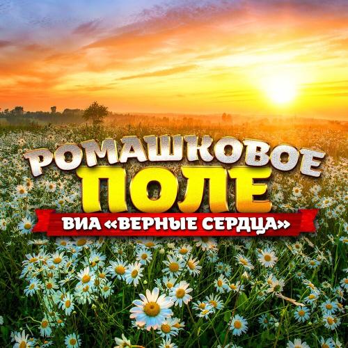 Ромашковое поле - ВИА «Верные сердца»