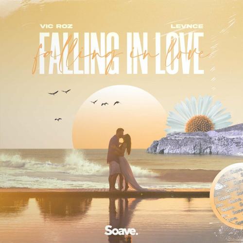 Vic Roz feat. LEVNCE - Falling In Love