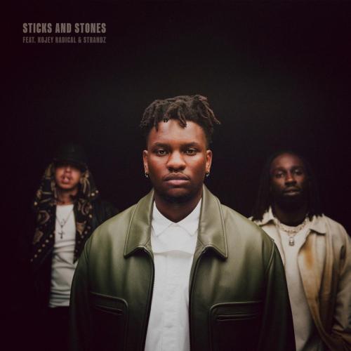 Sticks and Stones (feat. Kojey Radical & Strandz) - Victor Ray