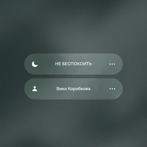Вика Коробкова - Не беспокоить