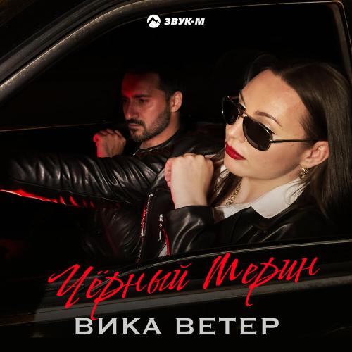Вика Ветер - Чёрный мерин