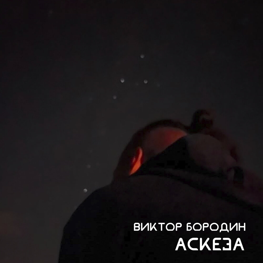 Аскеза - Виктор Бородин