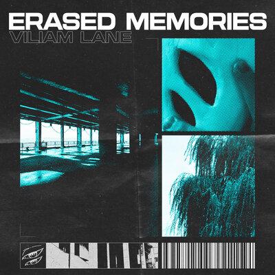 Viliam Lane - Erased Memories